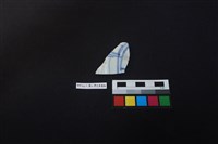 藏品(瓷片)的圖片