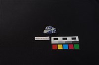 藏品(瓷片)的圖片