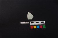 藏品(瓷片)的圖片