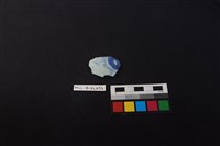 藏品(瓷片)的圖片