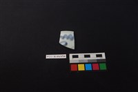 藏品(瓷片)的圖片