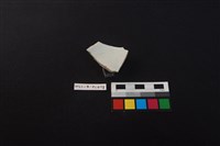 藏品(瓷碗)的圖片