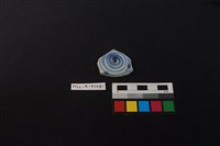 藏品(瓷片)的圖片