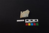 藏品(瓷碗)的圖片