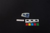 藏品(瓷片)的圖片