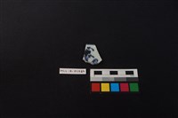 藏品(瓷片)的圖片