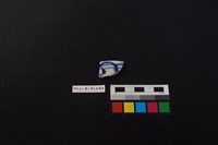 藏品(瓷片)的圖片