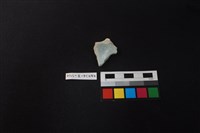 藏品(瓷片)的圖片