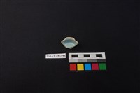 藏品(瓷片)的圖片