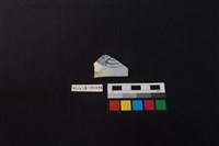 藏品(瓷片)的圖片