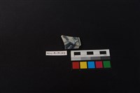 藏品(瓷盤)的圖片