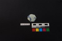 藏品(瓷片)的圖片