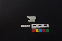 藏品(瓷片)的圖片