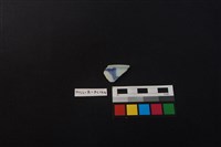 藏品(瓷片)的圖片