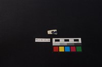 藏品(瓷片)的圖片