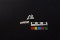 藏品(瓷片)的圖片