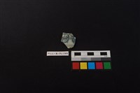 藏品(瓷片)的圖片