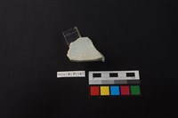 藏品(瓷碗)的圖片