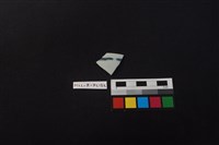 藏品(瓷片)的圖片