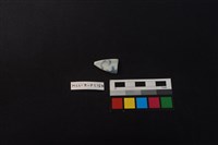 藏品(瓷片)的圖片