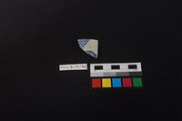 藏品(瓷片)的圖片