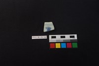 藏品(瓷片)的圖片