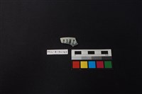 藏品(瓷片)的圖片