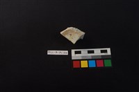 藏品(瓷片)的圖片