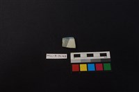 藏品(瓷片)的圖片