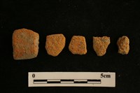 藏品(陶片)的圖片