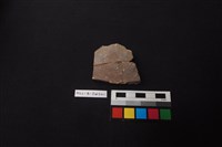 藏品(陶缸)的圖片