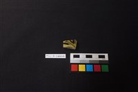 藏品(硬陶片)的圖片