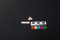藏品(硬陶片)的圖片