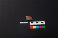 藏品(硬陶湯匙)的圖片