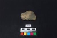 藏品(陶片)的圖片