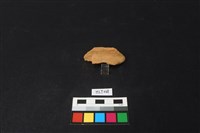 藏品(陶片)的圖片