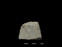 藏品(磨製斧鋤形器)的圖片