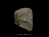 藏品(斧鋤形器)的圖片