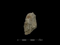 藏品(掘棒頭)的圖片