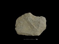 藏品(石片器)的圖片