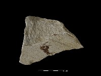 藏品(砥石)的圖片