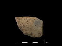 藏品(陶片)的圖片