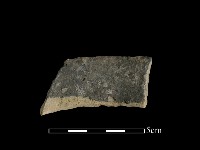 藏品(陶片)的圖片