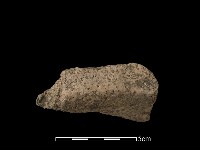 藏品(陶片)的圖片