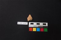 藏品(陶片)的圖片