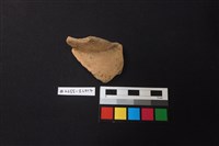 藏品(陶片)的圖片