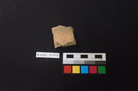 藏品(陶片)的圖片