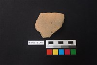 藏品(陶片)的圖片