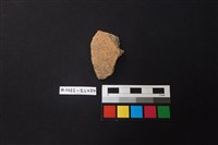 藏品(陶片)的圖片