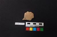 藏品(陶片)的圖片